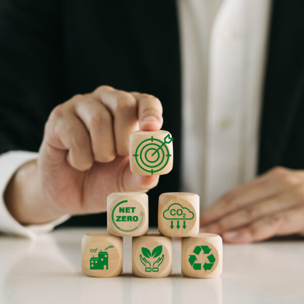 Green economy and sustainable environment for the future. CO2 an